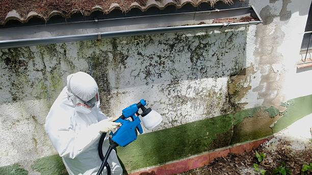 Mold Remediation service in Norfolk, Norfolk, VA